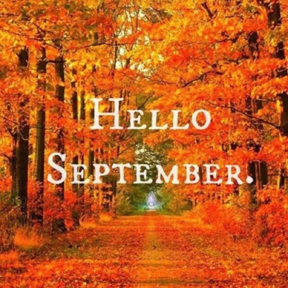 Hello Fall! - image 3